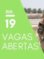 cropped-Vagas-dia-19.png.webp