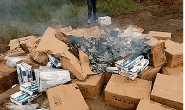 Incinerados 816 quilos de camarão e caranguejo na Beira