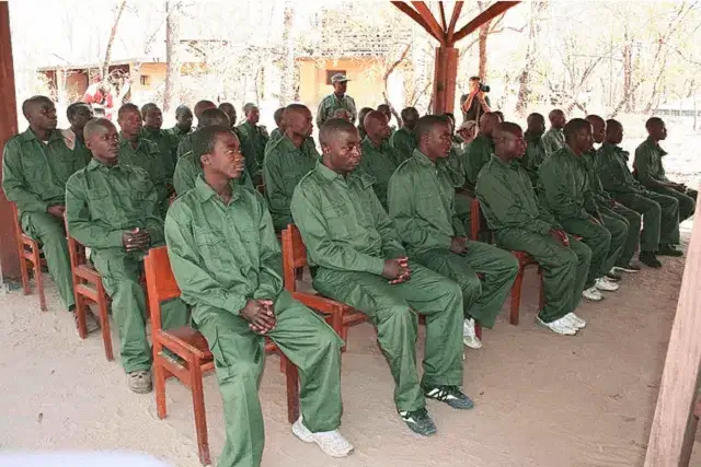 Indivíduos detidos na posse de pontas de marfim e pedras preciosas