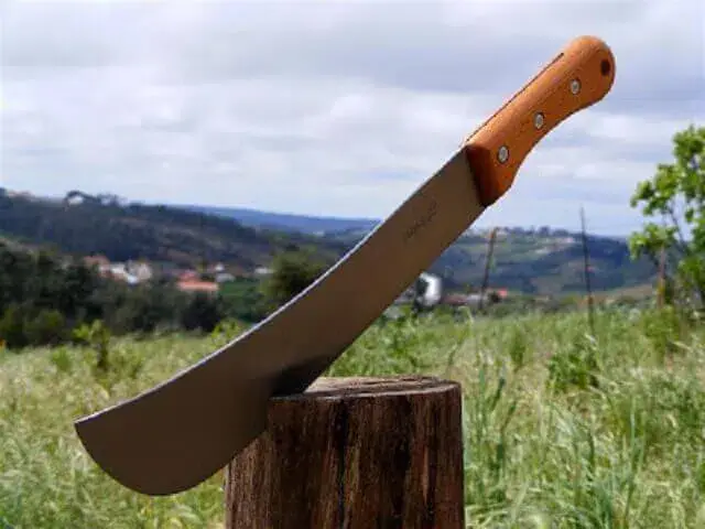 Desconhecidos aterrorizam Lichinga com recurso a catanas