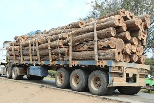 Manica- Apreendido camião com madeira ilegal