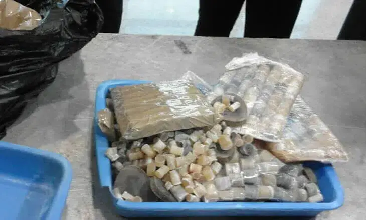 Chinês detido com cerca de quatro quilos de pontas de rinoceronte