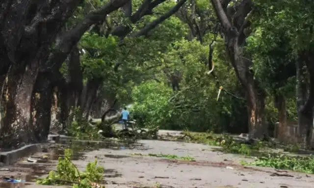 INAM- Idai já está a baixar de intensidade