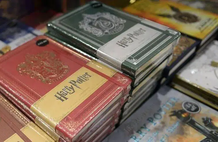 Livros de Harry Potter queimados por padres polacos