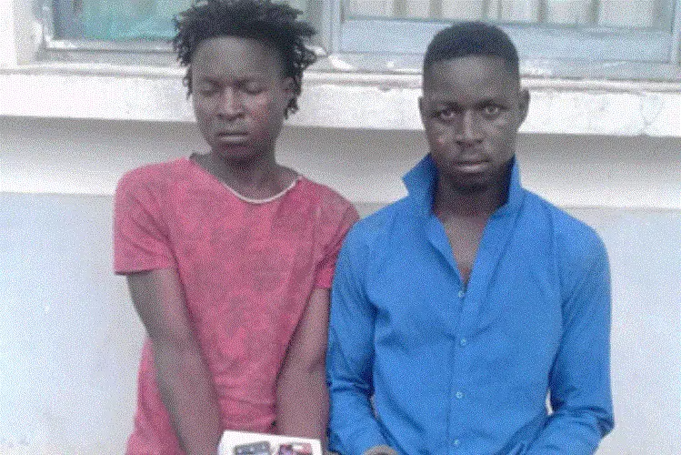 PRM desmantela quadrilhas em Chibuto