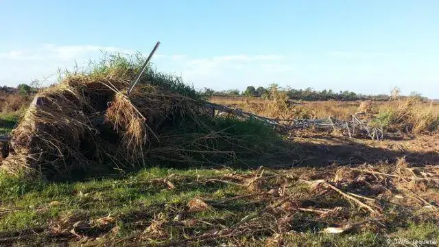 População denuncia surgimento de restos mortais de vítimas do ciclone Idai em Sofala