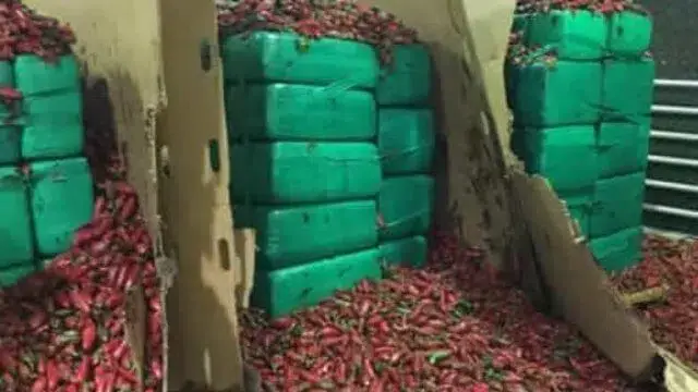 Apreensão picante- Marijuana encontrada num carregamento de jalapeños