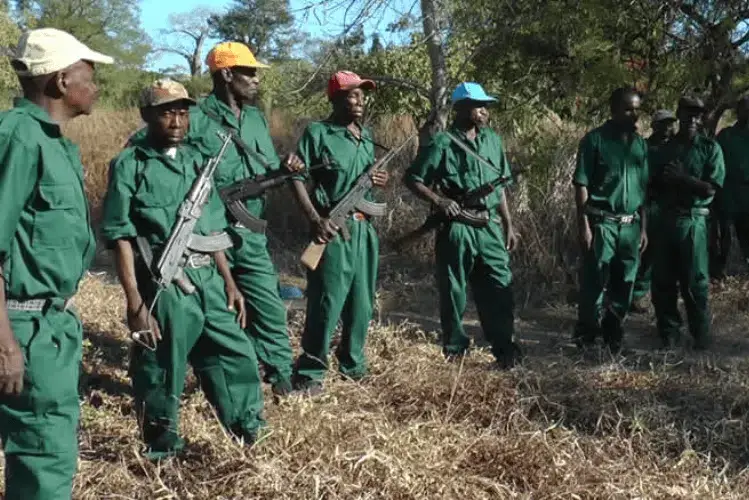 Renamo diz ter iniciado conversações com a junta militar