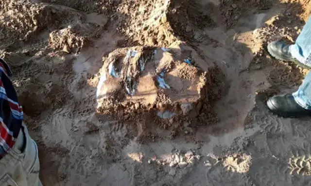 Idoso é assassinado pelos próprios filhos na Maxixe