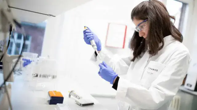 Cientistas identificam estrutura de proteína que transporta o coronavírus