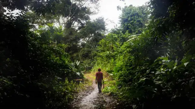Medicina tradicional deve ser envolvida na busca de solução