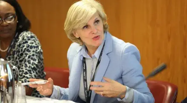 OMS considera cada vez mais improvável segunda grande vaga de Covid-19