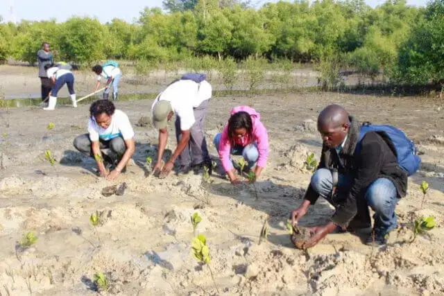 Governo quer maior envolvimento da sociedade na preservação e conservação dos ecossistemas marinhos