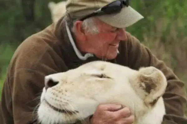 Homem morre após ser atacado por leoa que ele mesmo resgatou