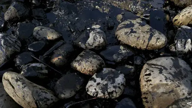 Ilha Maurícia declara emergência ambiental após navio derramar petróleo