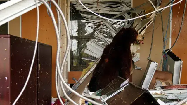 Número de mortos nos EUA provocados pelo furacão Laura sobe para seis