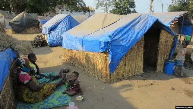 Insurgência em Cabo Delgado já preocupa o mundo, dizem analistas4