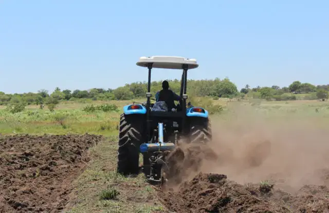 Na penitenciária provincial Reclusos produzem para auto-suficiência alimentar