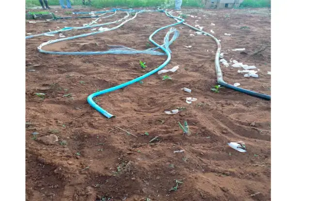 Malfeitores vandalizam PT no Zilinga