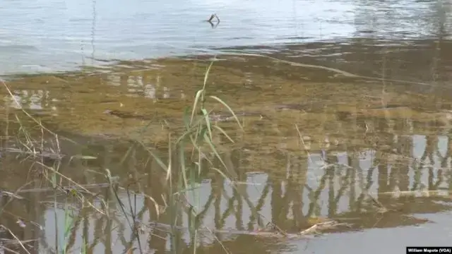 Derrame de combustível no rio Umbeluzi deve ser visto com seriedade, alerta ambientalista