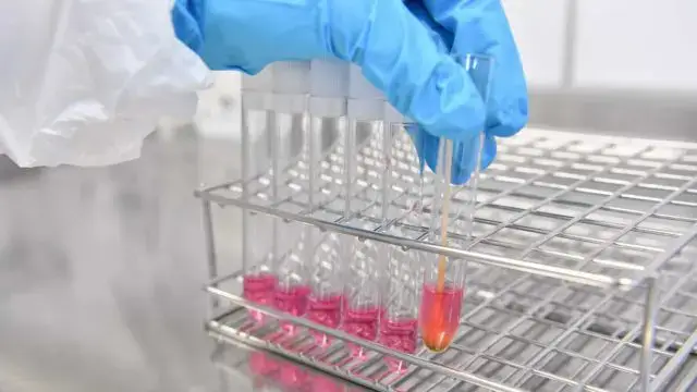 Mulheres distinguidas por estudos sobre visão, cancro, cádmio e carbono