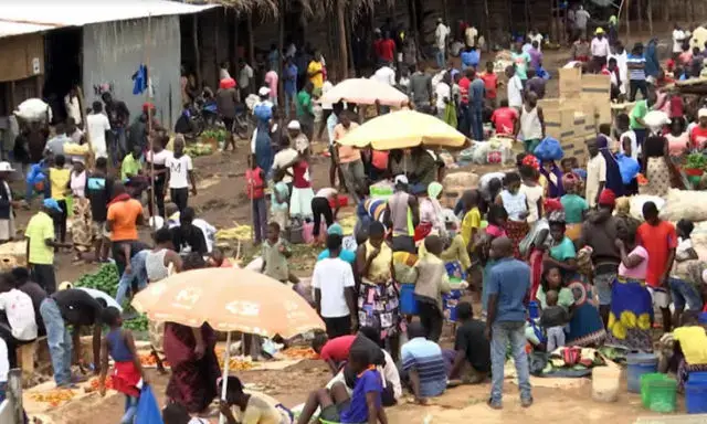 Prevenção da COVID-19 leva Gondola a sentar-se com administradores e edis
