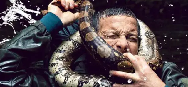 Estrela da televisão britânica quase morre asfixiada por cobra