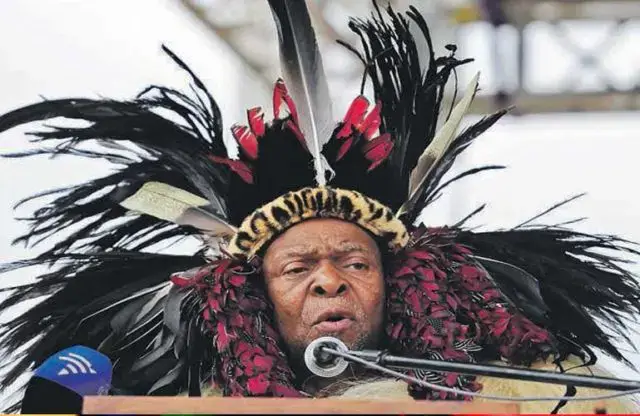 Papel de Zwelithini destacado por Ramaphosa