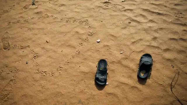 Centenas de pessoas refugiam para o Níger devido a ataques na Nigéria