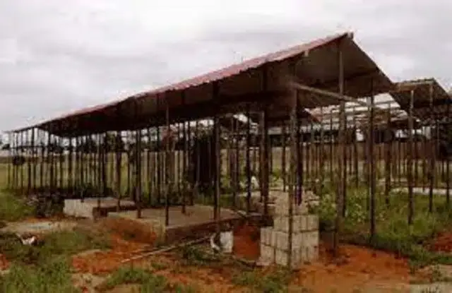 Mercado Laulane está desocupado por falta de condições