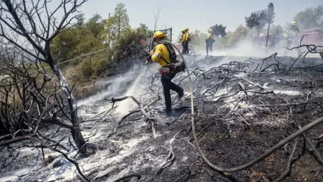 Incêndios destroem casas e obrigam milhares a fugir no Oeste dos EUA