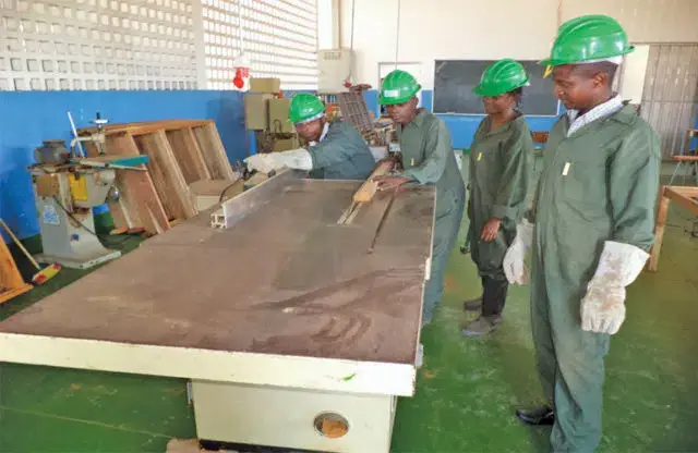 Jovens em Niassa foram desafiados a apostar no empreendedorismo