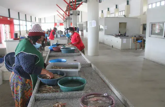 Não há clientes no Mercado do Peixe devido a covid-19