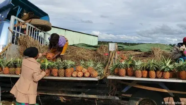 Crise económica em Angola têm outro rosto que não é a Covid-19