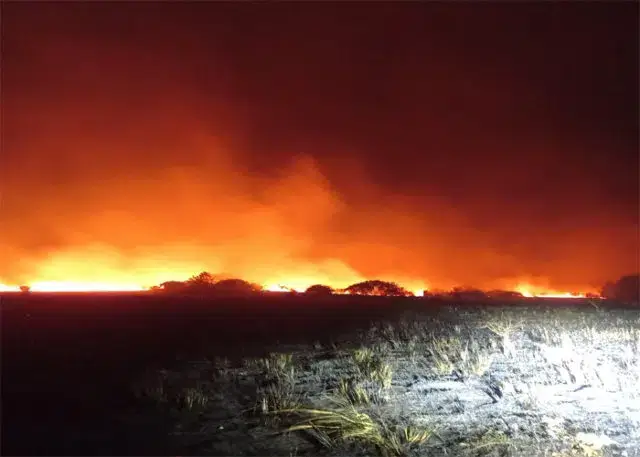 Incêndio devastou mais de mil hectares no distrito de Matutuine