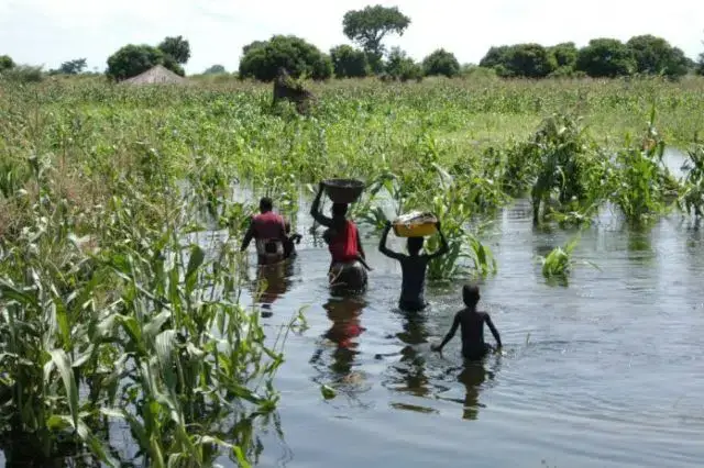 Cerca de 280 mil pessoas correm risco de inundações na Zambézia