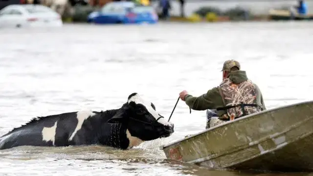 Colúmbia Britânica decreta emergência devido a tempestades no Canadá