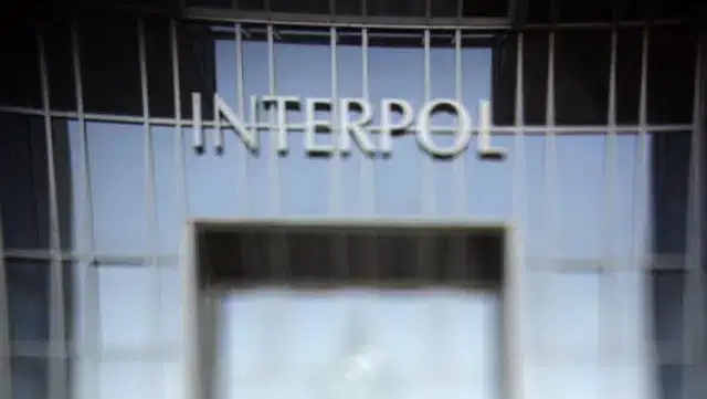 Interpol lançou operação antipirataria informática continental
