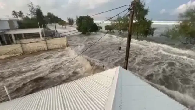 Nova Zelândia foi atingida por tsunami após erupção de vulcão