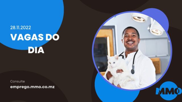 photo_2022-11-26_15-32-41