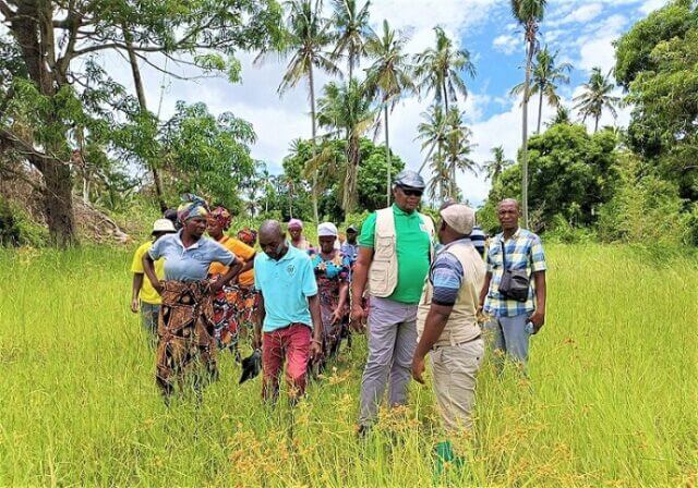 Reassentados recebem terras para produção em Inhassungue