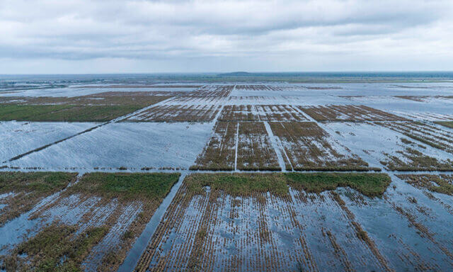 Celso Correia garante que não haverá escassez de açúcar