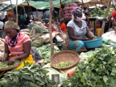 Preços de hortícolas disparam em Maputo