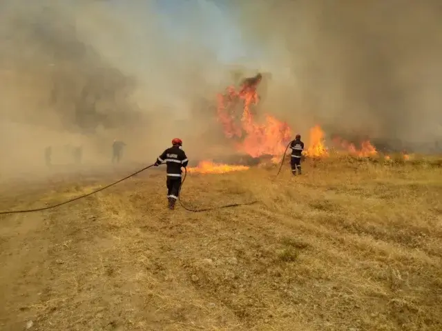 Bombeiros gregos continuam a tentar dominar incêndio na região de Evros
