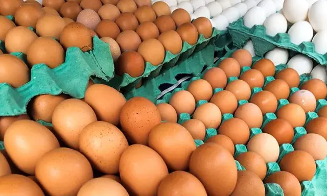 Contrabando de ovos no mercado preocupa avicultores