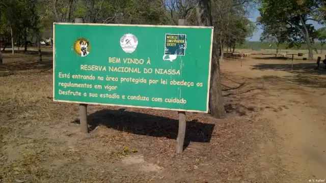 Caçadores furtivos destroem infraestruturas elétricas na Reserva Especial do Niassa