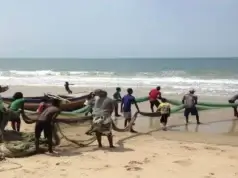 Moçambique aumenta exportação de pescado para 10 mil toneladas