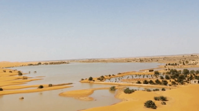Chuva rara transforma o deserto do Saara em lagoas temporárias