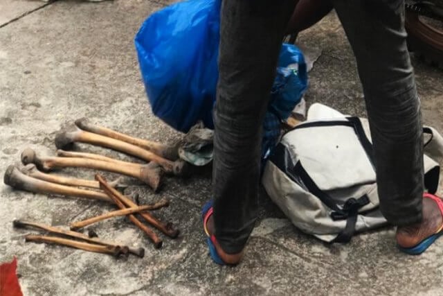 Dois homens detidos por posse de ossos humanos em Niassa