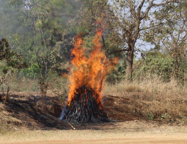 Polícia do Malawi destrói mais de 700 armas ilegais para reforçar segurança nacional
